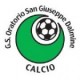 OSG DALMINE